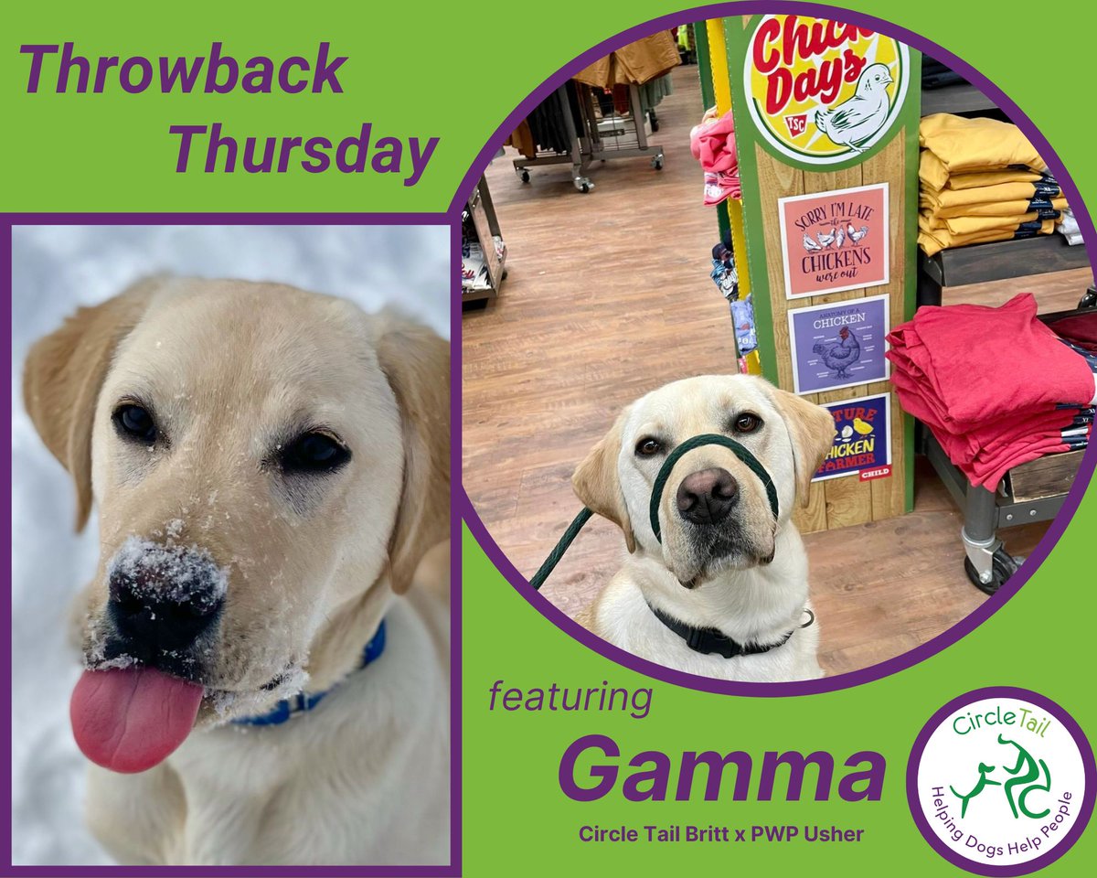 Circle Tail, Inc. tweet media