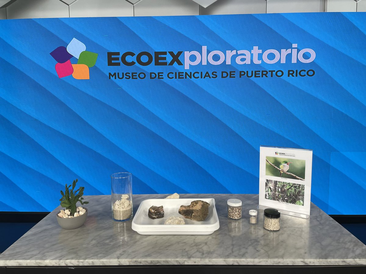 ECOEXPLORATORIO's tweet photo. Hoy en Noticentro por WAPA al Amanecer 🎥 en el segmento del #EcoExploratorio a tu Alcance 🌎 con nuestra educadora Gitza Más que presentó los suelos del Bosque Seco de #Guánica. 

#cienciadivertida #mimuseopr #ecoexploratorio #noticentro https://t.co/Lwaavb8svV