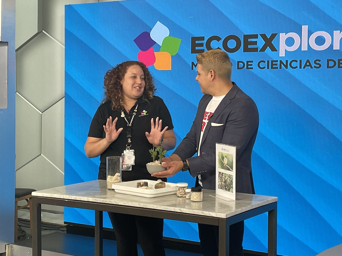 ECOEXPLORATORIO's tweet photo. Hoy en Noticentro por WAPA al Amanecer 🎥 en el segmento del #EcoExploratorio a tu Alcance 🌎 con nuestra educadora Gitza Más que presentó los suelos del Bosque Seco de #Guánica. 

#cienciadivertida #mimuseopr #ecoexploratorio #noticentro https://t.co/Lwaavb8svV