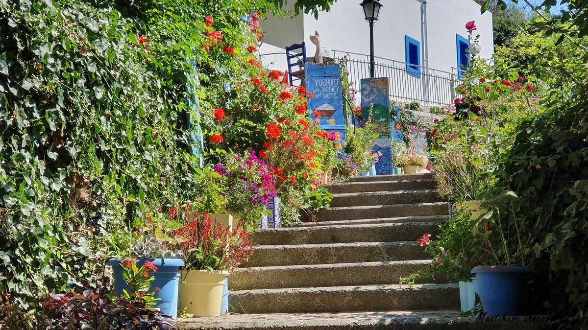TheUncovereds's tweet photo. Summer colour in #Zia #WaterMill #HomemadeLemonade
#Kos #Greece #GreekIslands https://t.co/gAwZVlEZ50
