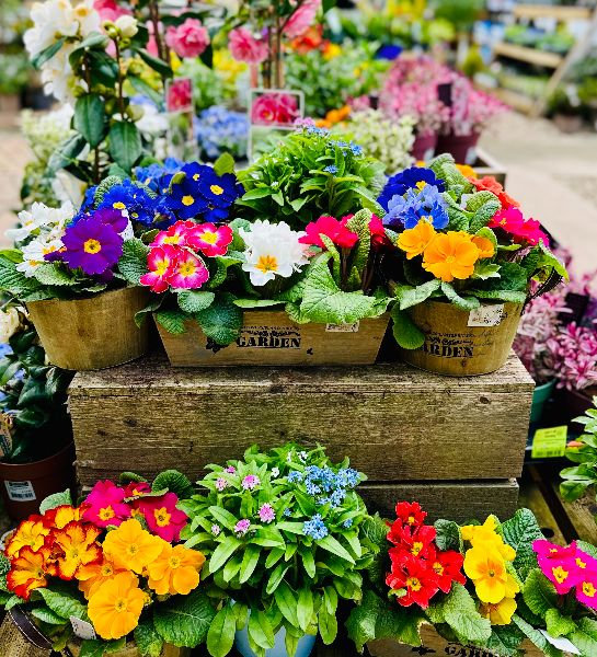 Lets talk Spring 😀🌸🌿 Follow the link to view our latest Spring offers, new ranges &amp; an exclusive voucher for our Twitter followers - mailchi.mp/fd7e4cd05ae8/g…