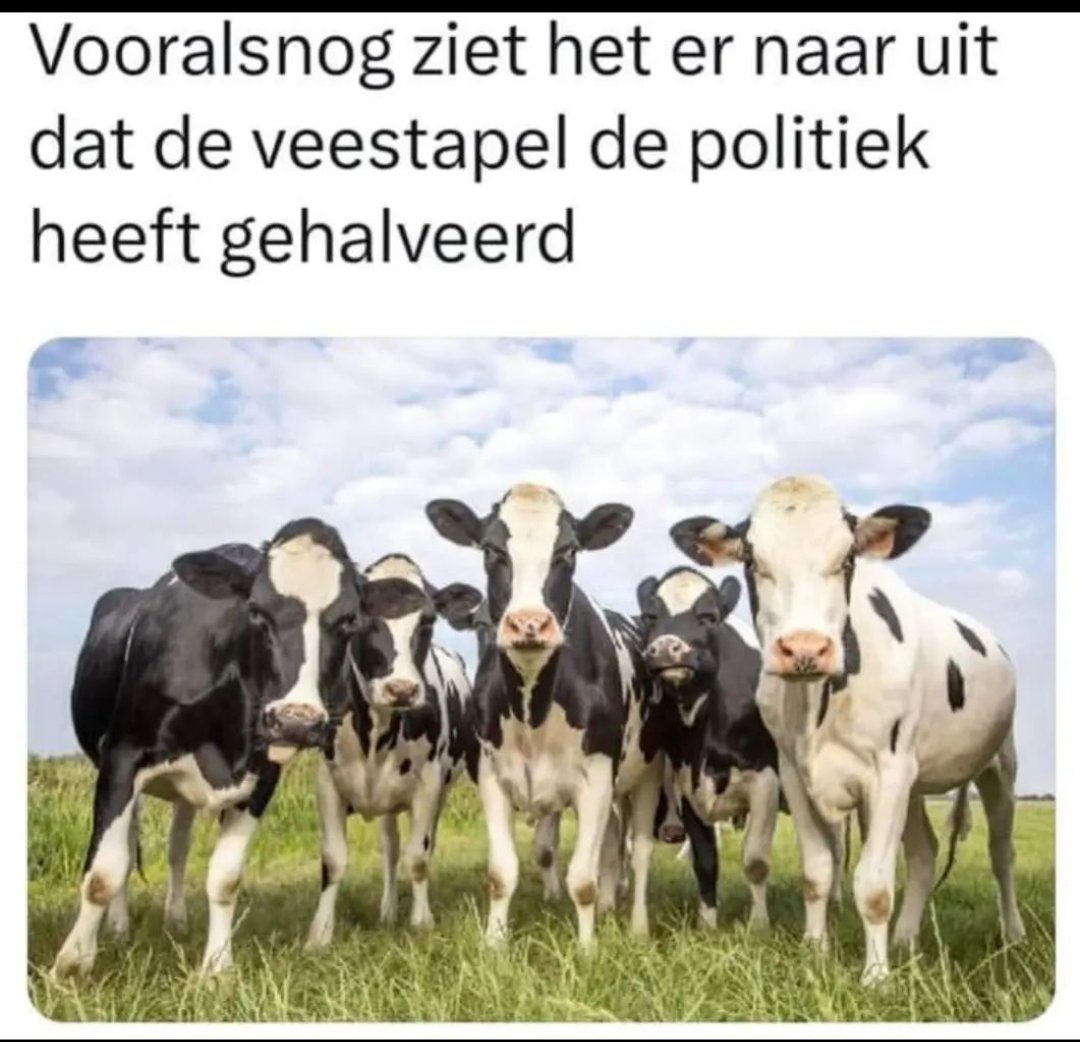 markhesselink's tweet photo. #BBB https://t.co/e8CLehgEGP