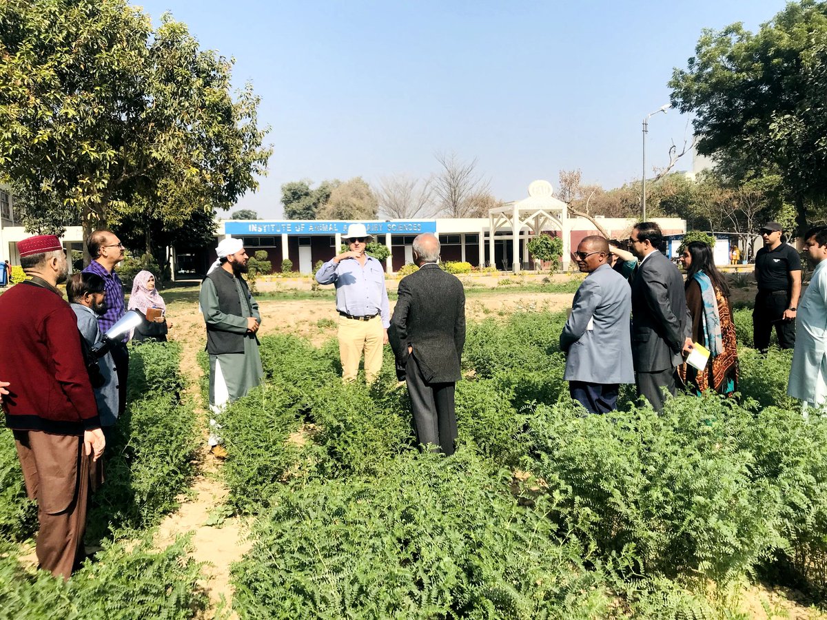 atifattari1226's tweet photo. Professor Dr. Richard Trethowan, Director of the IA Watson Grain Research Centre along with Dr. Rebecca Thistlethwaite from @Sydney_Uni and Prof. Dr. Iqrar Ahmad Khan, Vice Chancellor @UniversityofAg2 visited the irrigated chickpea field trails at @AfsCas https://t.co/twCMbmKxGf