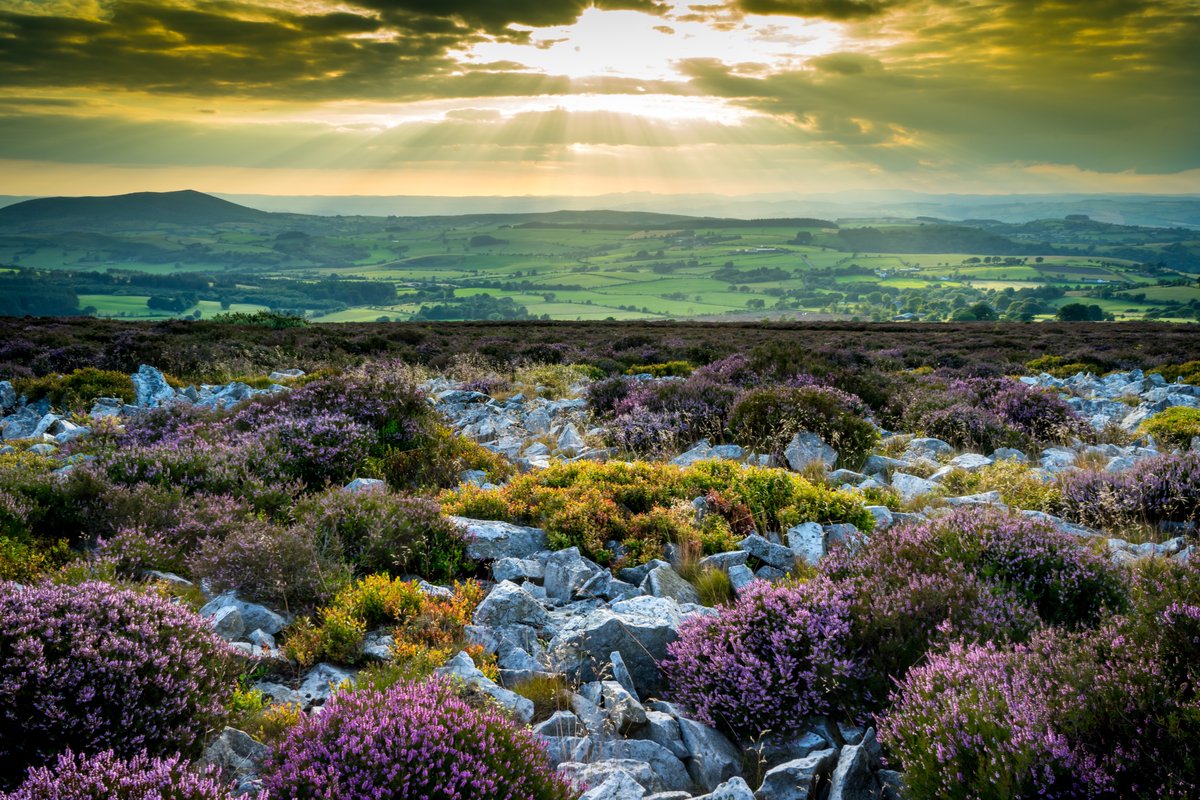 Busy time for us with 5 #shropshire #photographyworkshops alongside 3 superb #artisanmarkets starting with #shrewsburyfarmersmarket  this Saturday 18th, #madeinshropshire on the  25th, 9.00-4.00pm in  #shrewsbury  and #dudmastonhall on Sunday 26th from 11.00-4.00pm.  Do join us.
