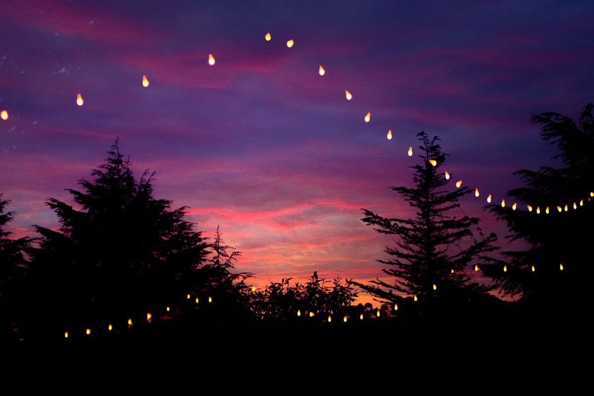 canvasoul_'s tweet image. the joy