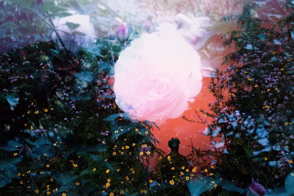 canvasoul_'s tweet image. the joy