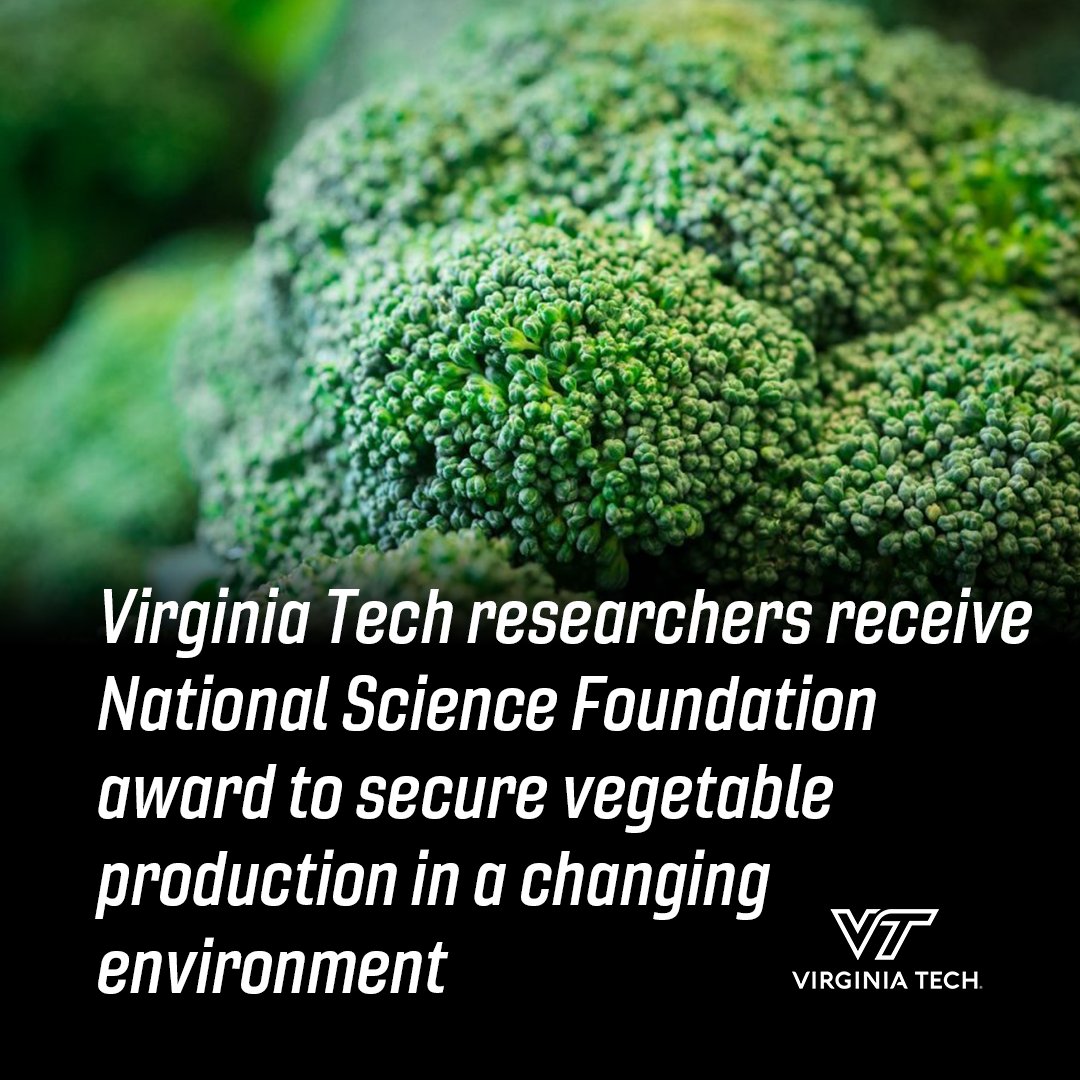 Virginia Tech News tweet media