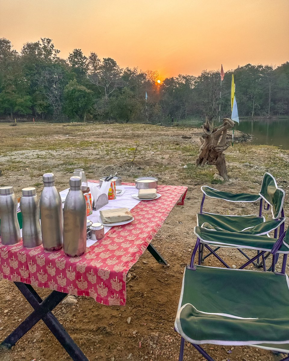 Pench Jungle Camp tweet media