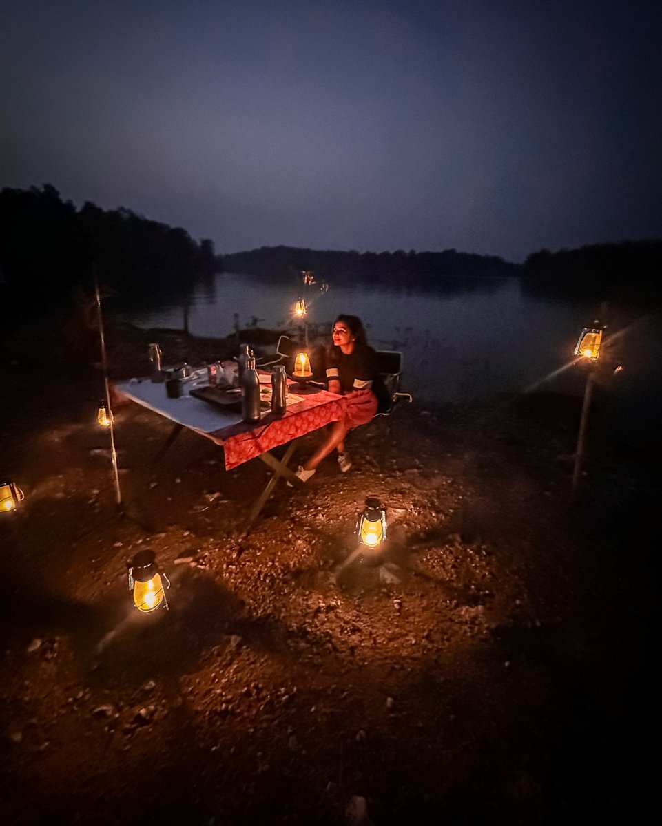 Pench Jungle Camp tweet media