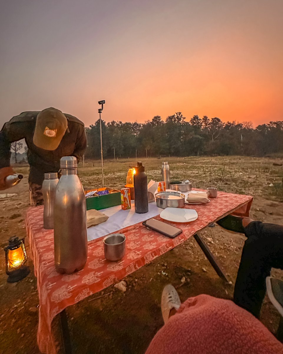 Pench Jungle Camp tweet media
