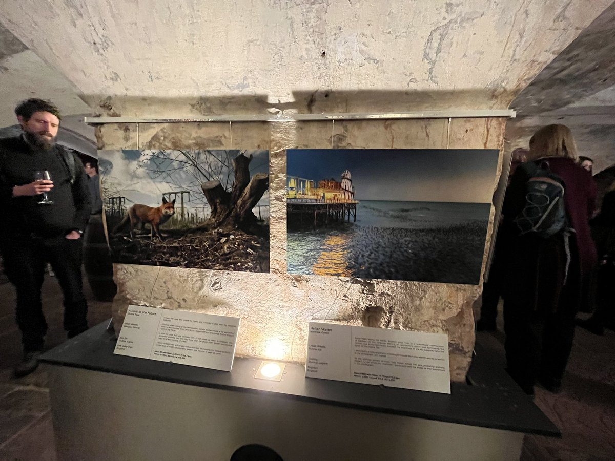 Nice to see my photograph ‘Helter Skelter’ was runner up in this years <a href="/BWPAwards/">British Wildlife Photography Awards</a>

#brighton #palacepier #starlings
<a href="/Natures_Voice/">RSPB</a> <a href="/BBCSpringwatch/">BBC Springwatch</a> <a href="/UKNikon/">Nikon UK & Ireland</a> <a href="/NikonProEurope/">Nikon Pro</a>