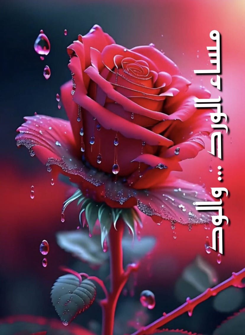 ؛
؛
                  🪷همسة🪷

الدليل على ثقافتك هو كلامك وسلوكك .. وليس عدد الكتب التي قرأتها أو شهاداتك فقط.