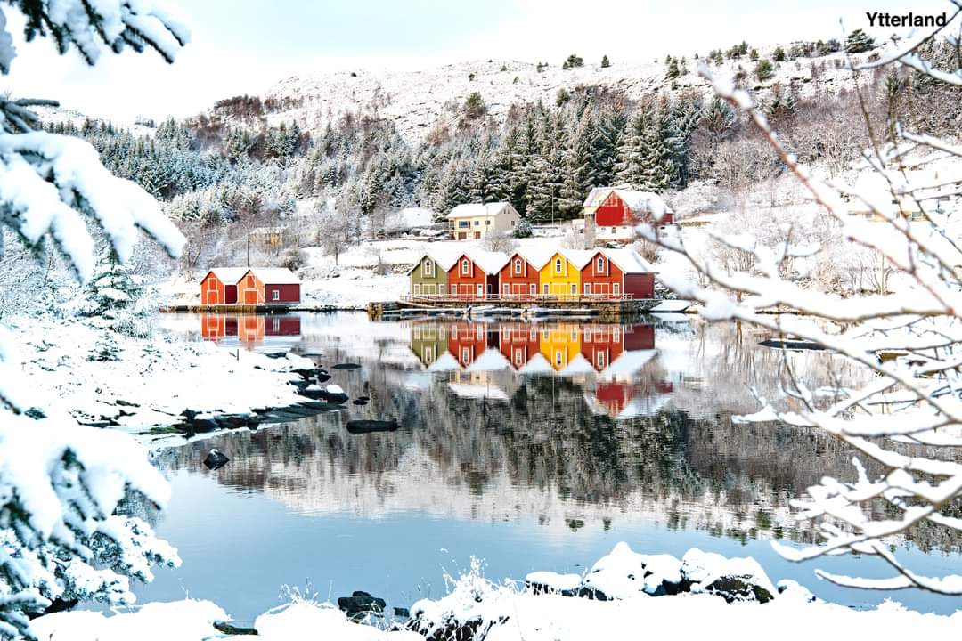 elusive_moose's tweet photo. Wow 😍 Winter in Frøystadvågen ❄️ Photo Kristoffer Nærø Ytterland #Norway https://t.co/R3n5ooZXjX