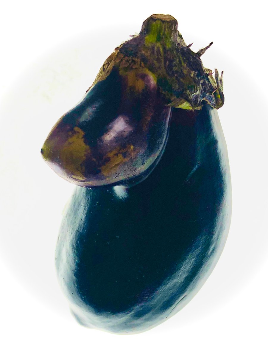 「不思議な形の茄子に遭遇!何となく懐かしさを感じるのはムーミン谷のヘムレンさんに激」|名倉靖博nakura yasuhiroのイラスト