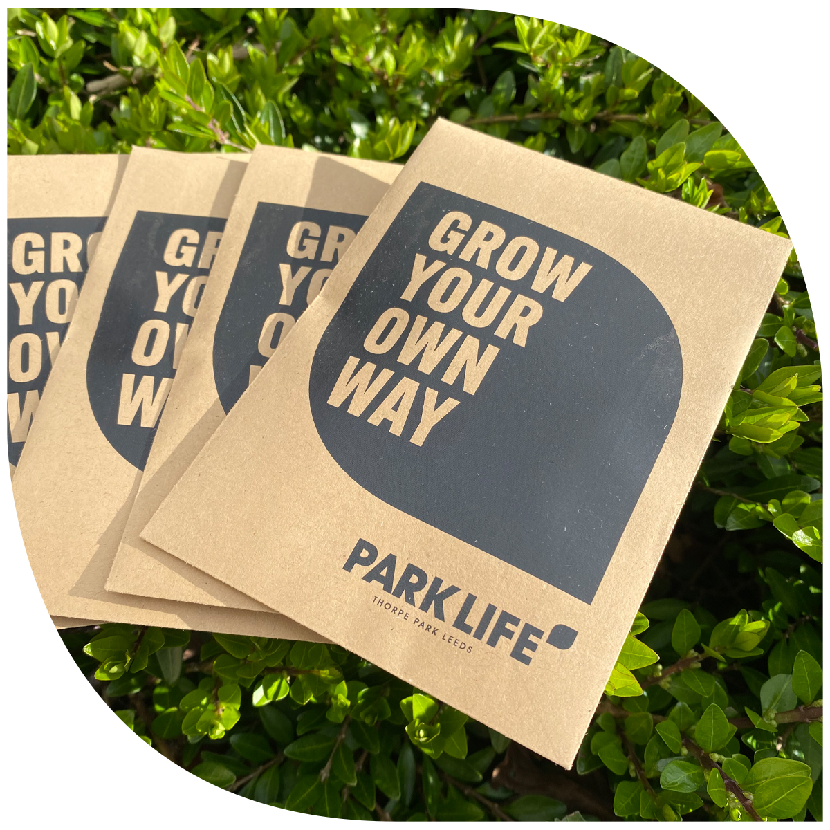 ParkLife tweet media