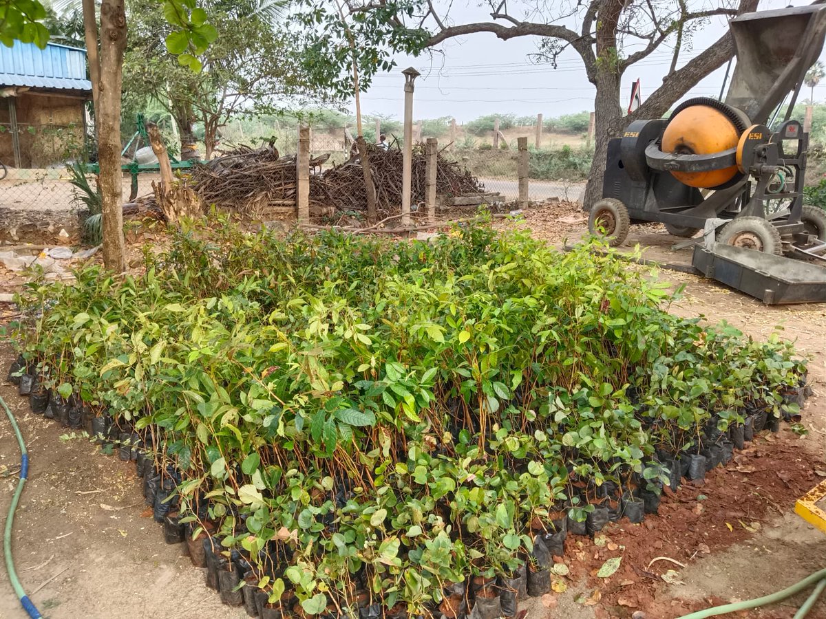 GauthamBose 🐦 tweet media