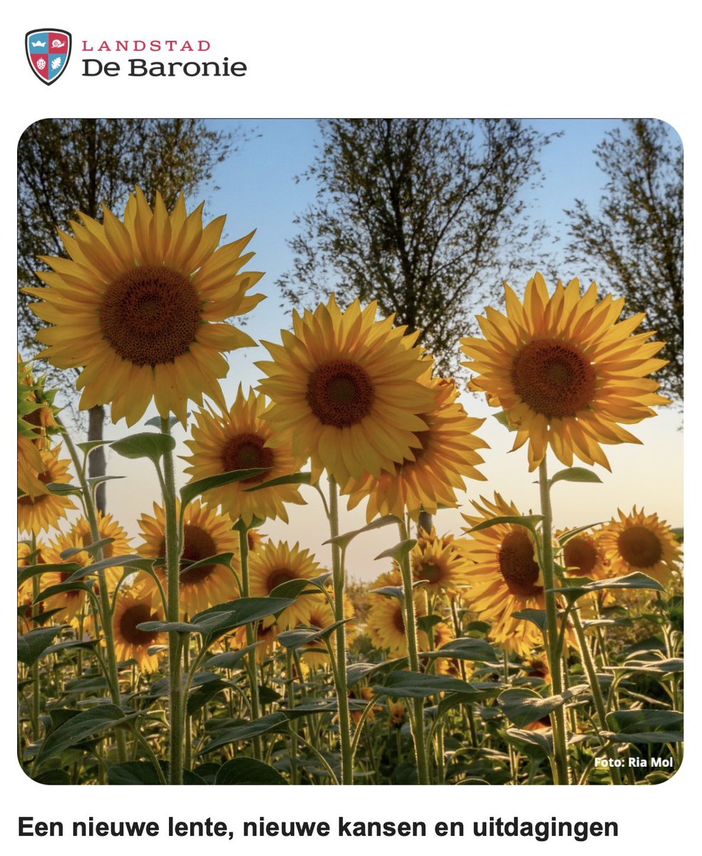 LandStad De Baronie tweet media