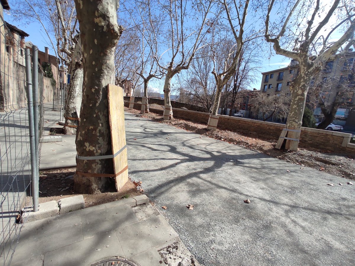 Aquesta setmana veiem com, arran del prec que vam fer al #PleVic, s'han protegit mínimament els arbres de la rambla del Bisbat durant les obres. #Vic #Osona