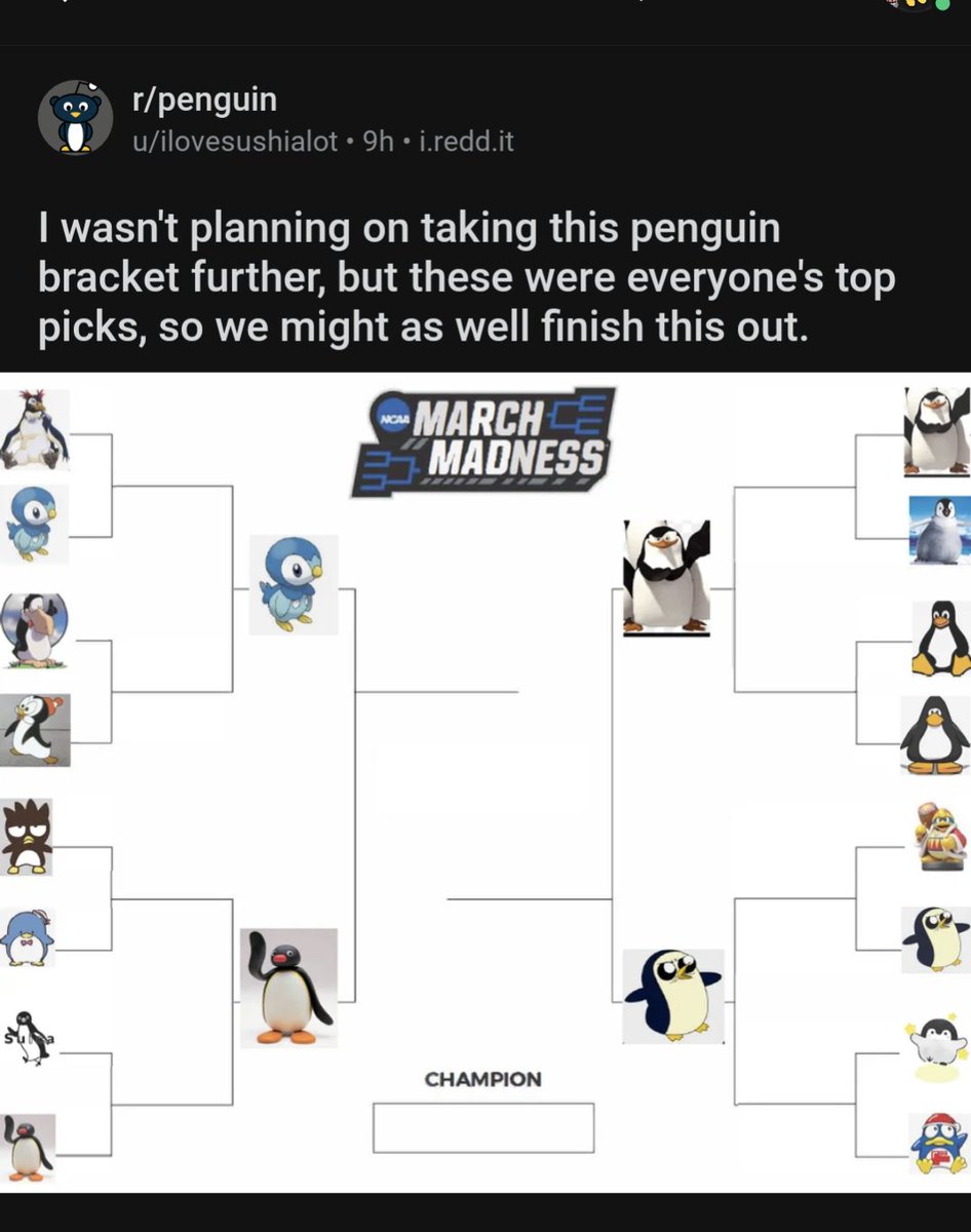 This person made a penguin bracket and didn't even include roald who would DEMOLISH all of them
I can't comment though because I was banned from the penguin subreddit a few years ago 😢