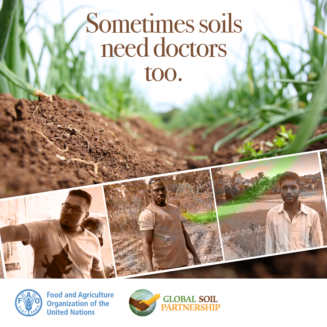 🌱🌾🌿Healthy soils = healthy crops = healthy people!  🌱🌾🌿

#Farmers' #SoilDoctors play a crucial role in keeping our #soils fertile & productive. 

Don't miss the article available in several languages 👉🏿👉🏿👉🏿 tiny.cc/m3c5vz  

#HealthySoils