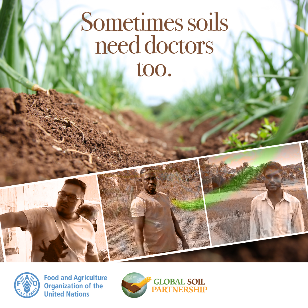 🌱🌾🌿Healthy soils = healthy crops = healthy people!  🌱🌾🌿

#Farmers' #SoilDoctors play a crucial role in keeping our #soils fertile &amp; productive. 

Don't miss the article available in several languages 👉🏿👉🏿👉🏿 tiny.cc/m3c5vz  

#HealthySoils