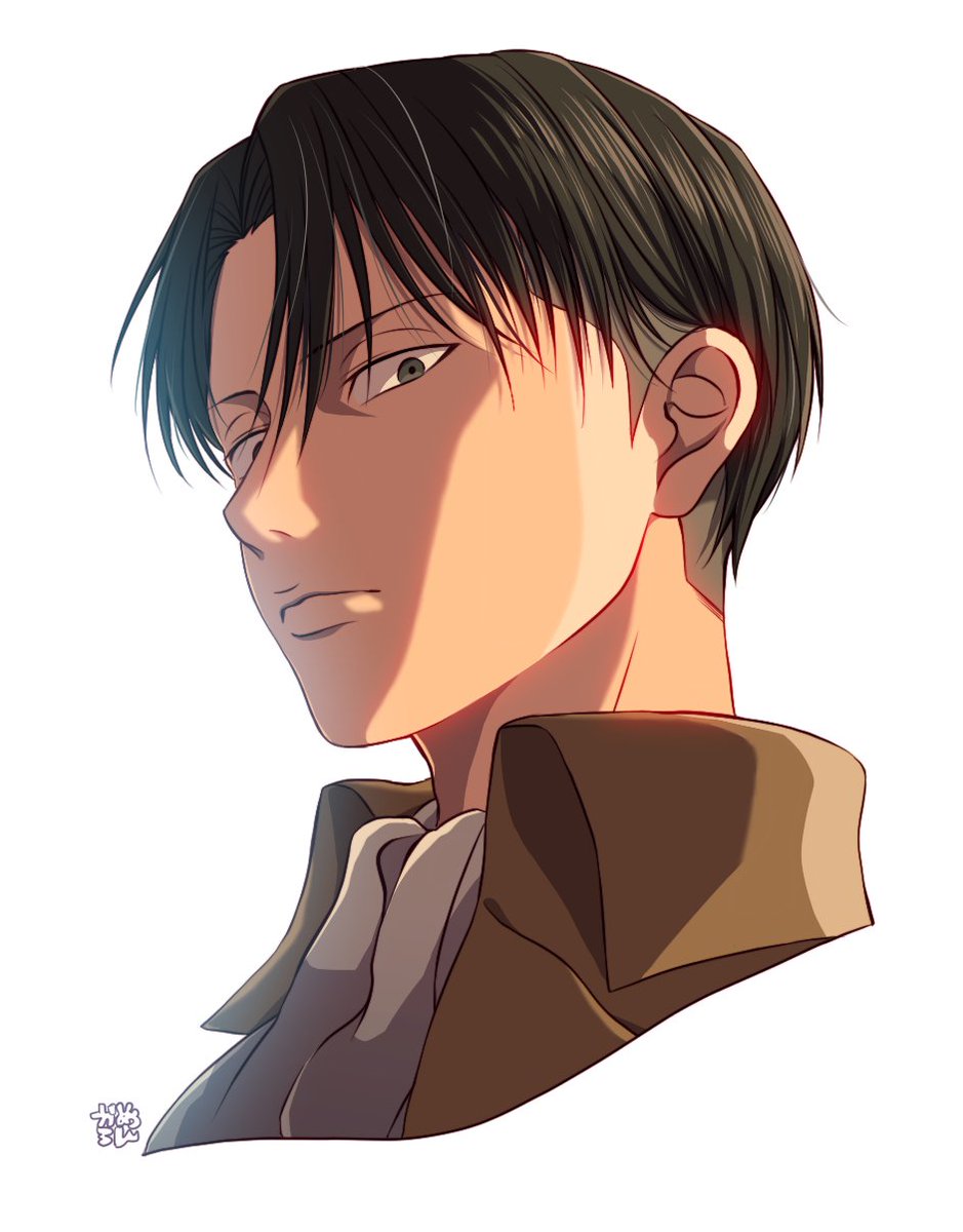 levi (shingeki no kyojin) 1boy male focus solo black hair ascot curtained hair black eyes  illustration images