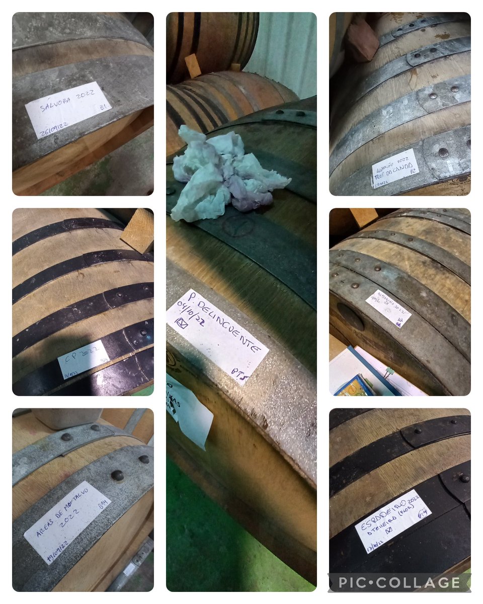 AdrianJMcManus's tweet photo. Speaking of wine excellence, coming up to a week since @SpanishWineCol touched down at @Forjas_Salnes a superb visit with over 16 references tasted "en rama". #albariño #caiño #espadeiro #loureiro #pinotnoir https://t.co/ixVbEqfWfV