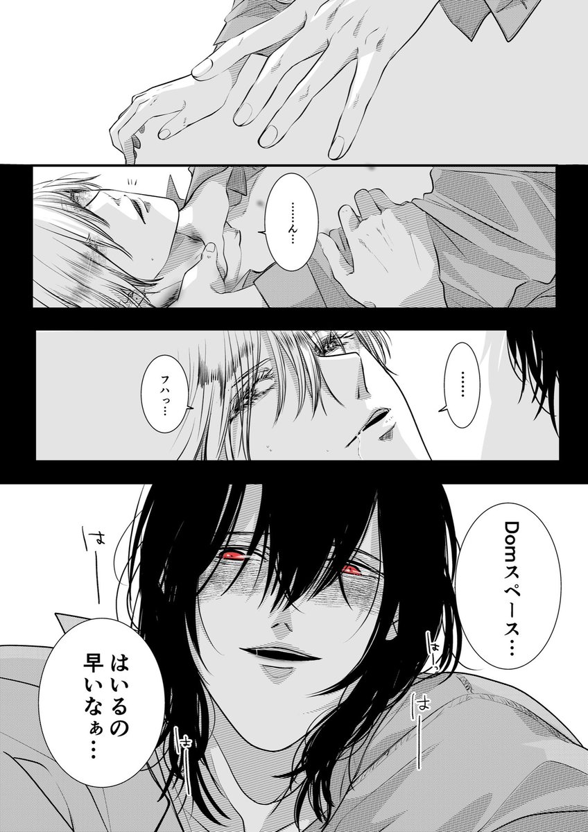 【双子と先生】
セーフワードがないドムサブ系(3/3)

#創作BL
#ドムサブ 