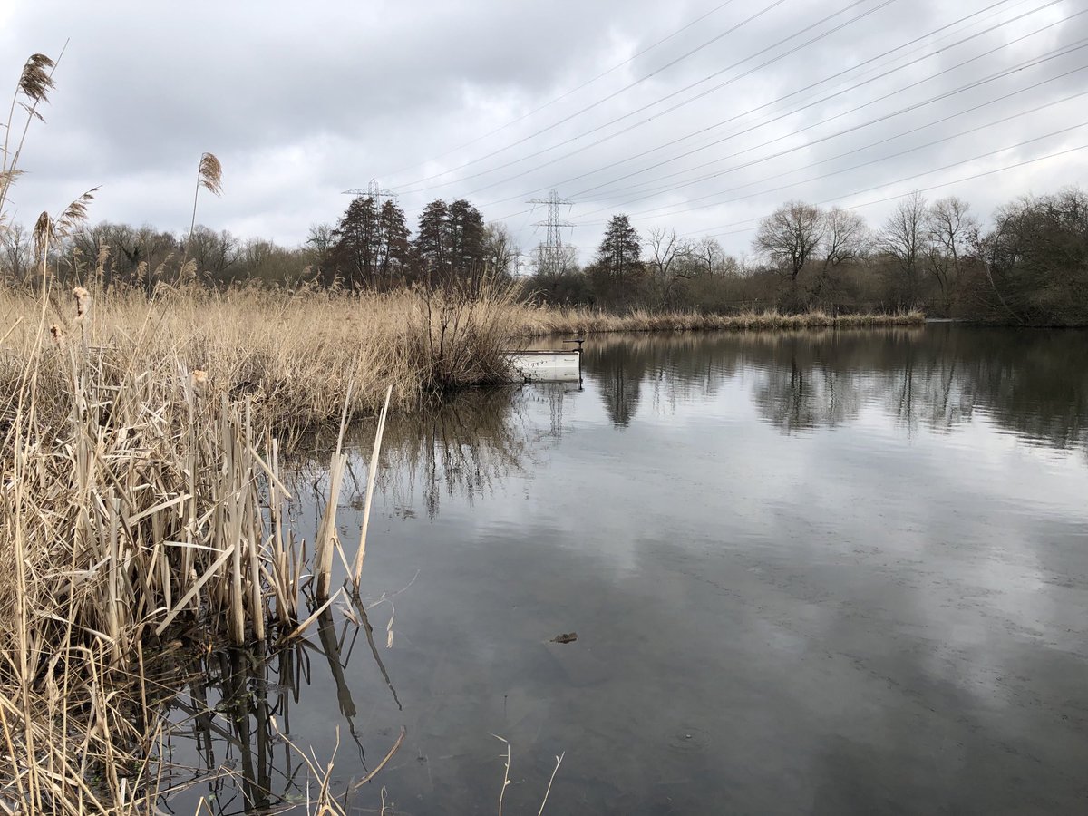 Catpat (@catpat2017) on Twitter photo Interesting morning on Seventy Acres Lake ā¦<a href="/LeeValleyPark/">Lee Valley Park</a>ā© last week with ā¦<a href="/BillyBloodworm/">Graham White</a>ā© and ā¦<a href="/SalterPete/">Pete Salter</a>ā© assessing the reedbeds planted through the EU Life project nearly 20 years ago. Plenty of discussion about future management optionsā¦. Interesting morning on Seventy Acres Lake ā¦<a href="/LeeValleyPark/">Lee Valley Park</a>ā© last week with ā¦<a href="/BillyBloodworm/">Graham White</a>ā© and ā¦<a href="/SalterPete/">Pete Salter</a>ā© assessing the reedbeds planted through the EU Life project nearly 20 years ago. Plenty of discussion about future management optionsā¦.