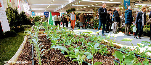 Fiori&Foglie - Tgcom24 tweet media