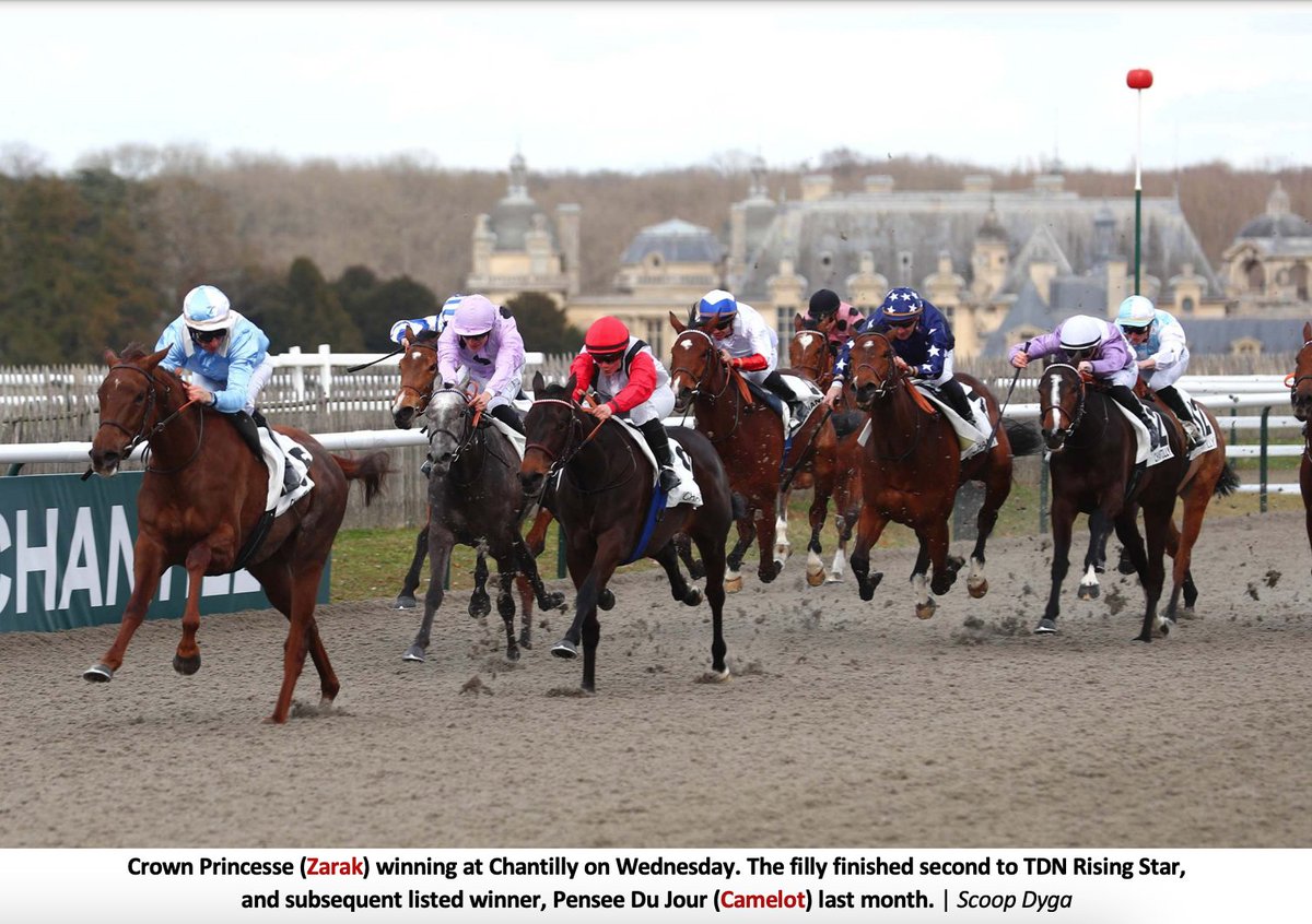 SaintJulienFR's tweet image. 𝙋𝙧𝙚𝙨𝙨 𝙧𝙚𝙫𝙞𝙚𝙬 // @theTDN 
 
#SaintJulien #Homebred #Winner #Crownprincesse