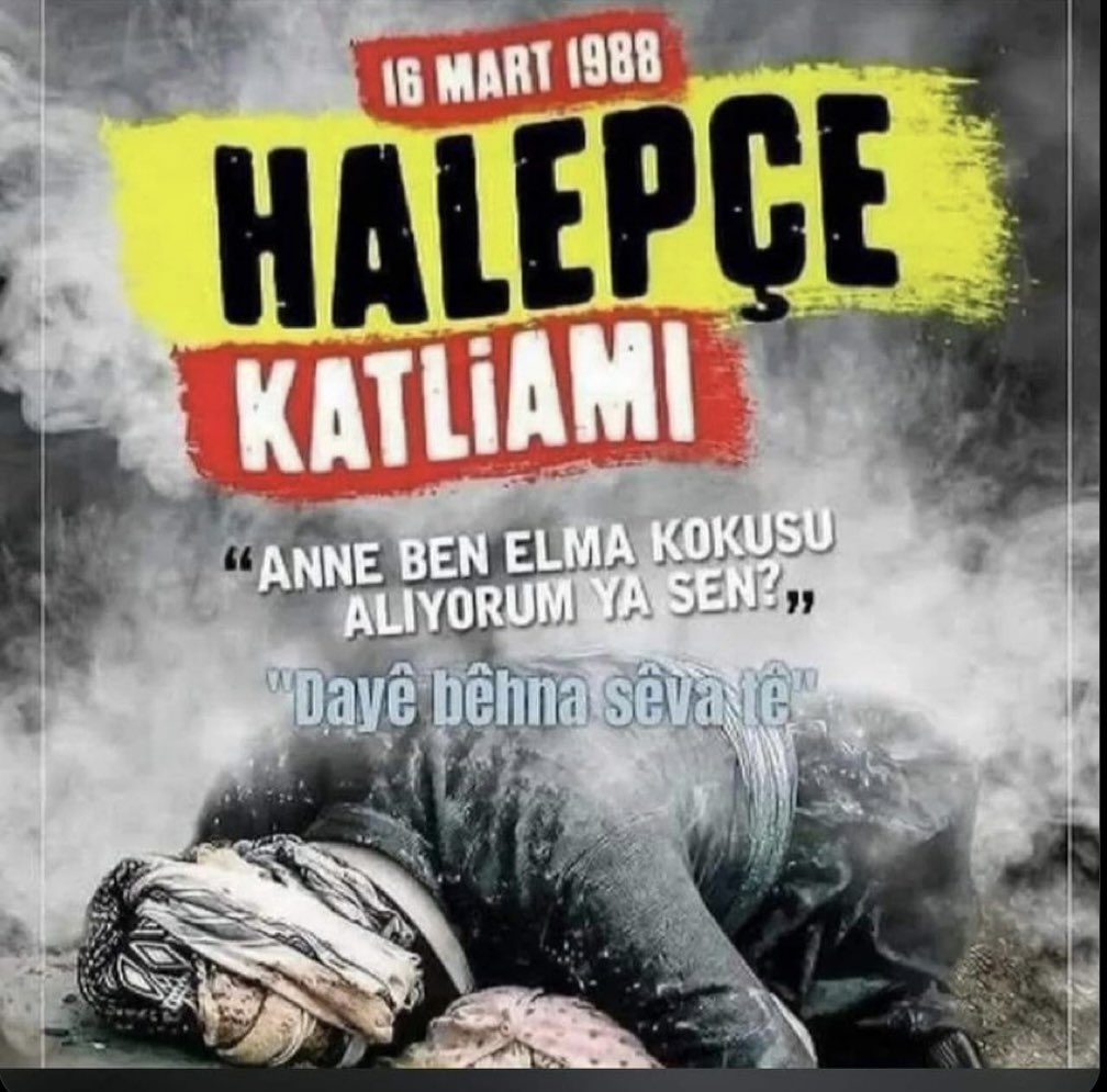 Halepçe katliamı 10000 kürdü katletin Saddam Hüseyin tarihin tozlu raflarında bu iple anılacaksın…!!! Buda senin gibi barbarlara ders olsun………✌️
