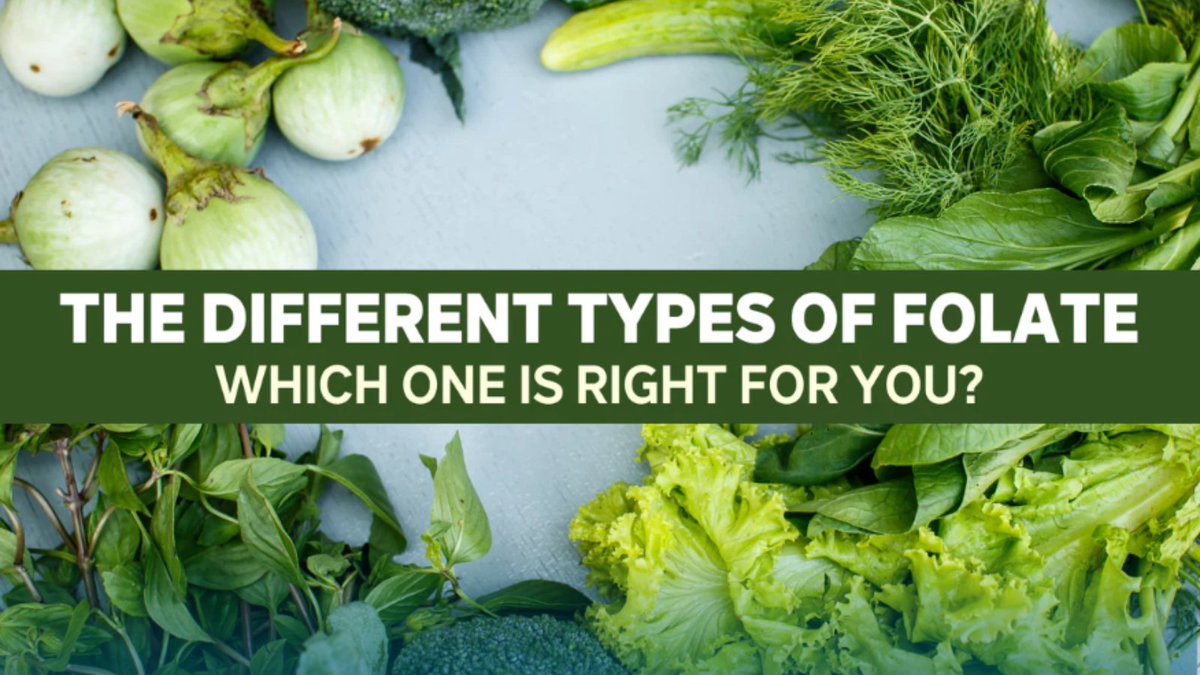 Carolyn Ledowsky tweet media