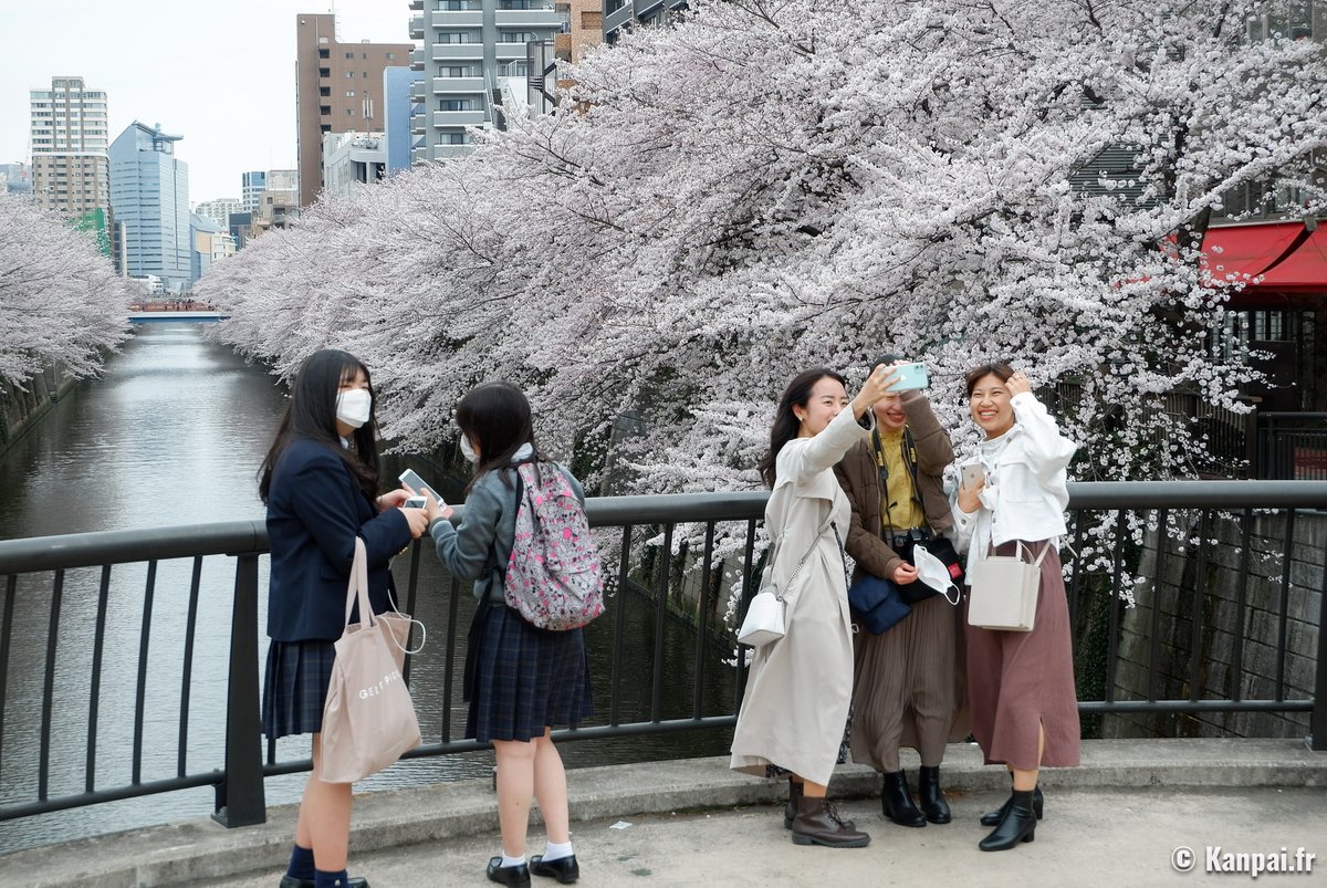 Konbini on Twitter "RT KanpaiFR 🦠 À partir du lundi 8 mai, il ne