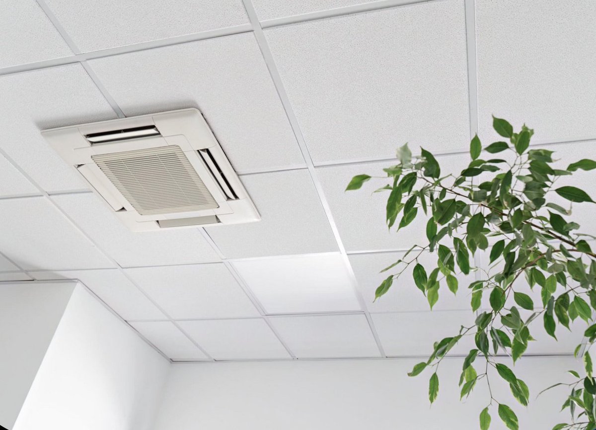 PowerCleanSolu2's tweet image. Check out our blog for some expert tips for keeping homes mold-free. powerclean.solutions/air-duct-clean… (214) 377-1501 goo.gl/maps/s2N32fjAP…
.
.
#DallasTX #MoldAndMildewTreatment #DallasMoldAndMildewTreatments #MoldAndMildewTreatmentsNearMe