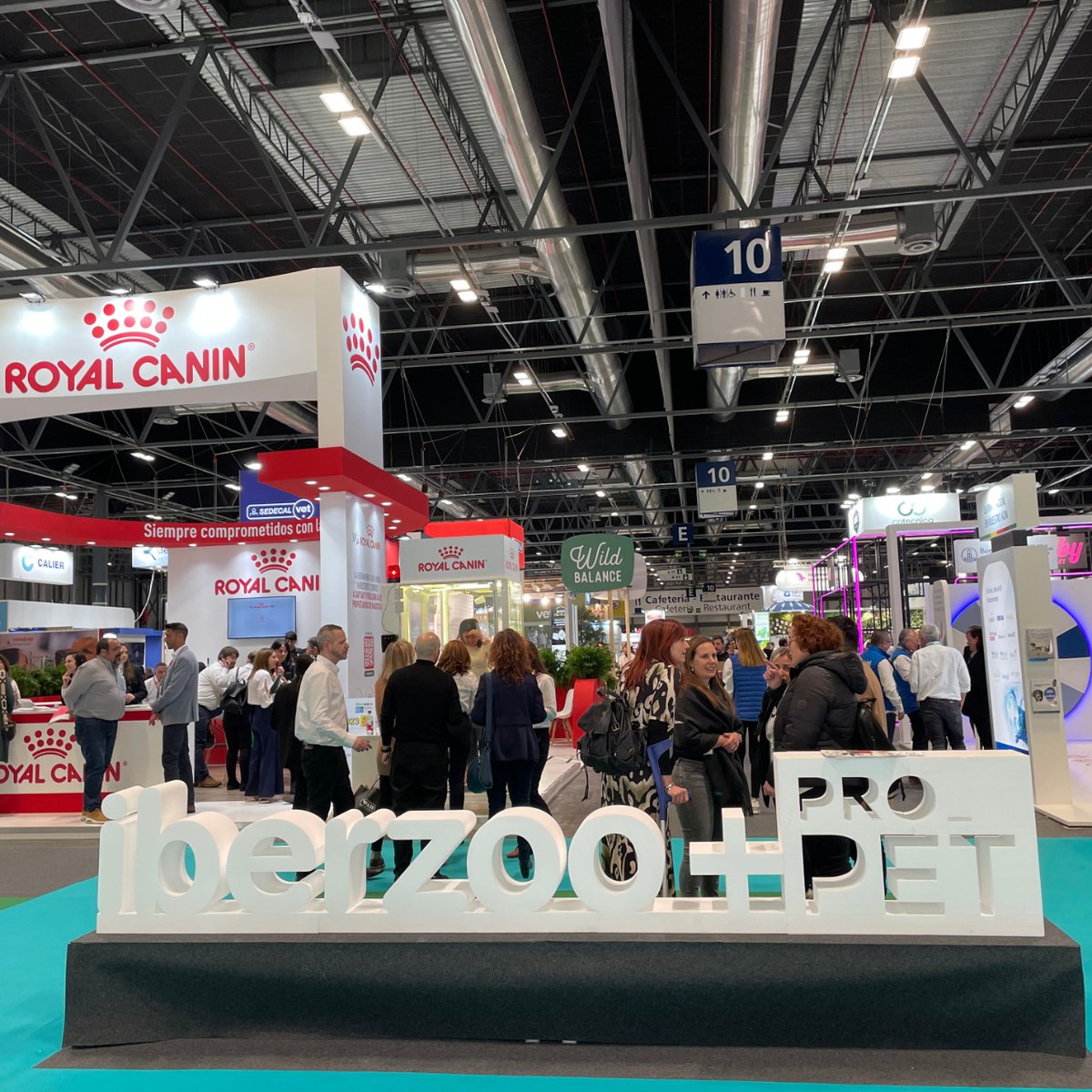 chisonmedical's tweet photo. #IberzooPropet2023 has opened grandly today. #CHISON's ultrasound imaging equipment for #veterinarians aims to improve diagnostic accuracy for #animals and provide the best treatment solutions. We sincerely invite you to visit our booth at 10H19. Welcome to stop by tomorrow! #VET https://t.co/eZie892sEm