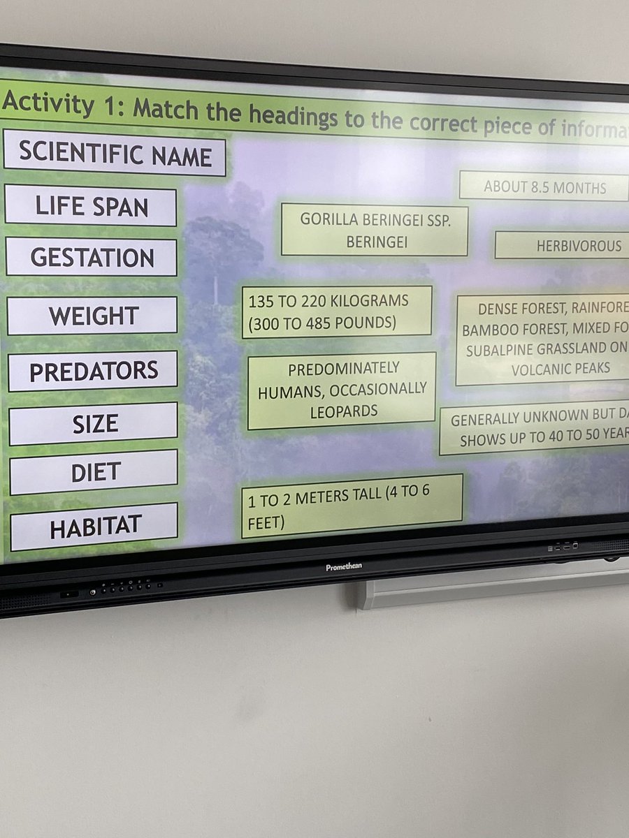 Finally getting round to learning about goal 15. #lifeonland #teachSDGs #s1 #Sustainability this week 1.5 we’re learning about Gorillas in Rwanda