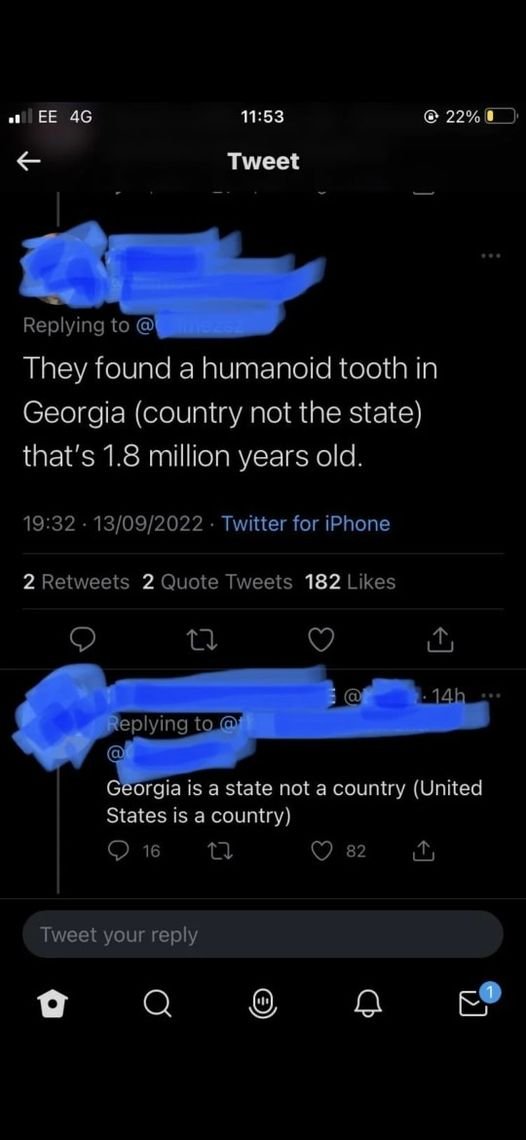 [Image: FrVxrLtWwAI3tq6?format=jpg&name=medium]