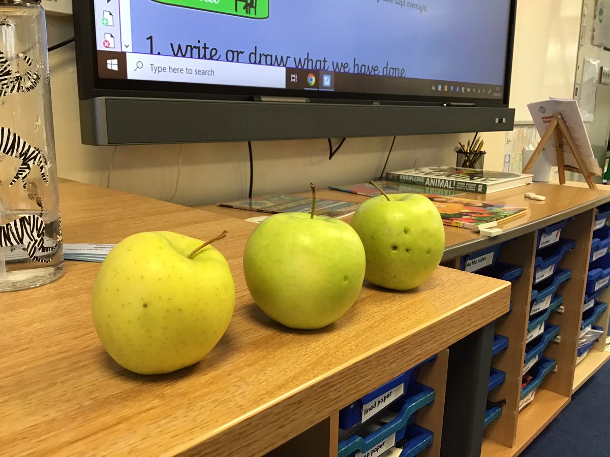 Allenton_Year3's tweet photo. British Science week!🩻
We have carried out an experiment to see how taking care of our enamel protects the inside of our teeth. We have observed results and concluded that we really should brush our teeth and eat less sugar! https://t.co/NkKBRFFDtN