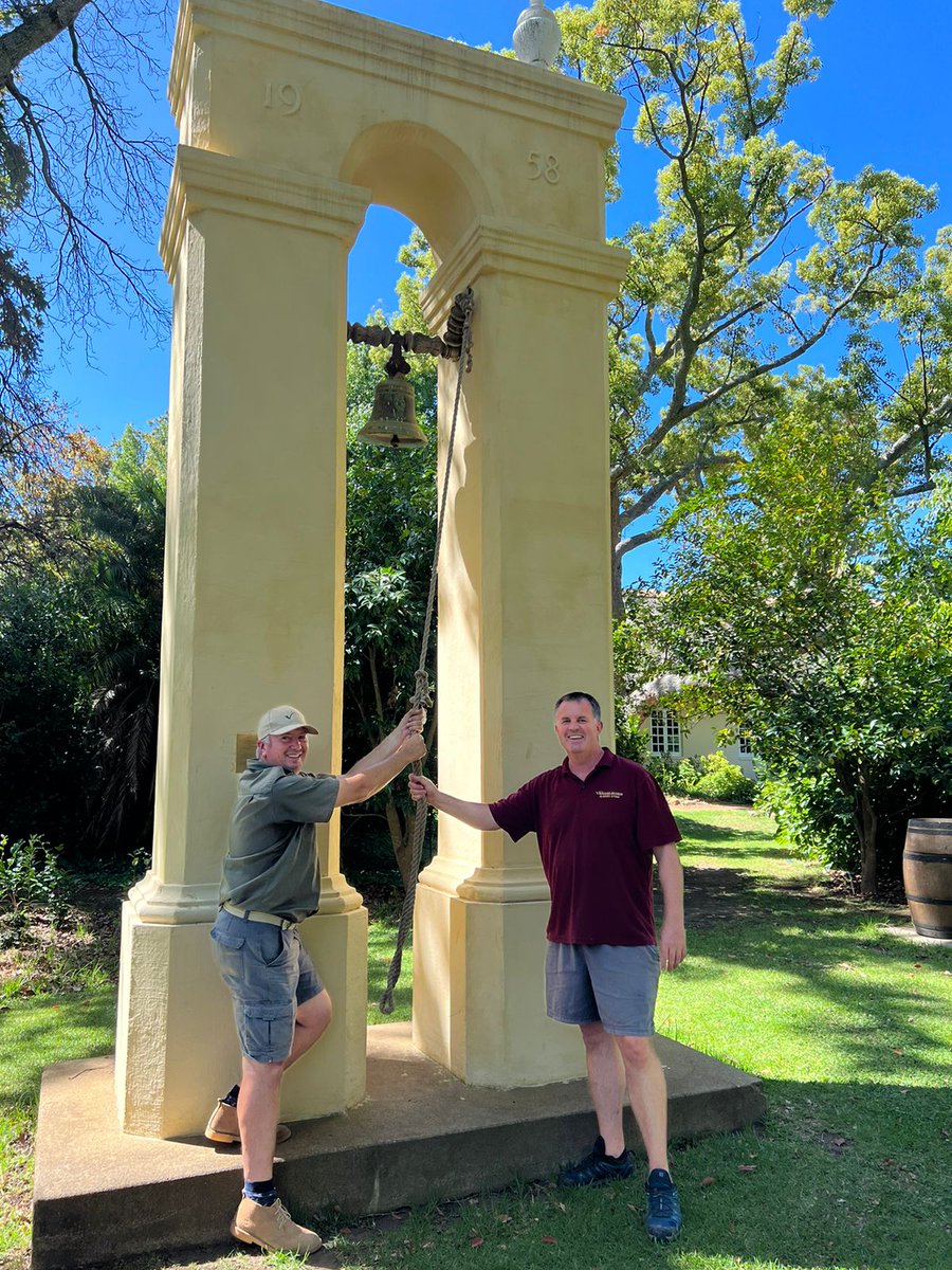 VClubwine's tweet photo. Its Harvest Season at the Vineyard 🍷

@vergelegen #vergelegen #vergelegenestate #vclub #vclubwine #southafricanwine #v1700 #gvb https://t.co/370ir1oExY