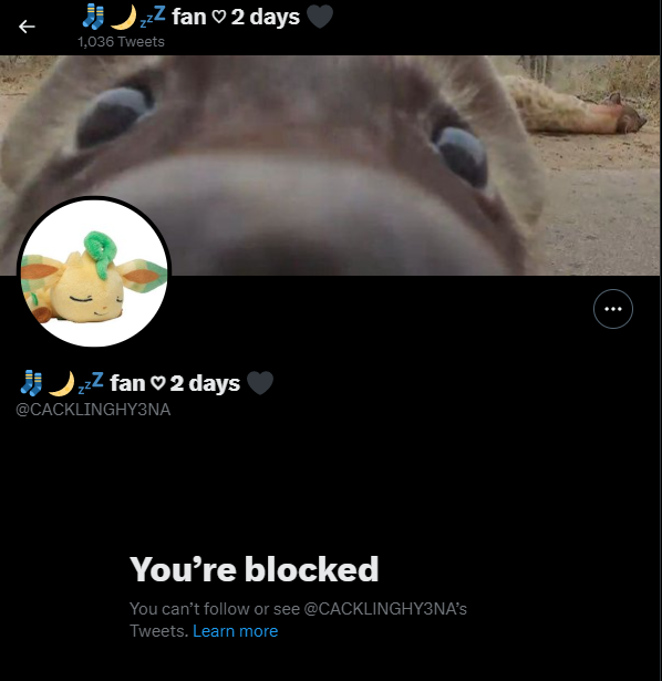 charongotsussed's tweet photo. are we not going to talk about how this person manipulated MY FRIENDS and OTHER PEOPLE for their main accounts and then a few days later you blocked all of us and deleted ur proship osc account.. just for ur stupid blocklist on us #oscproship #osctwt #objectshowcommunity https://t.co/Y7WmRgET7E