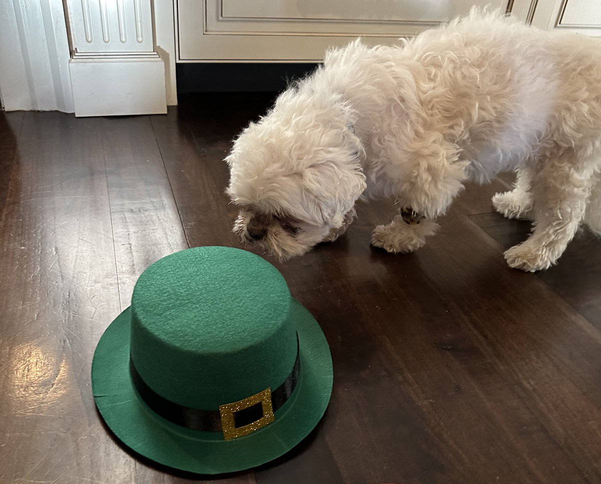 You know what’s luckier than the Irish? Me.