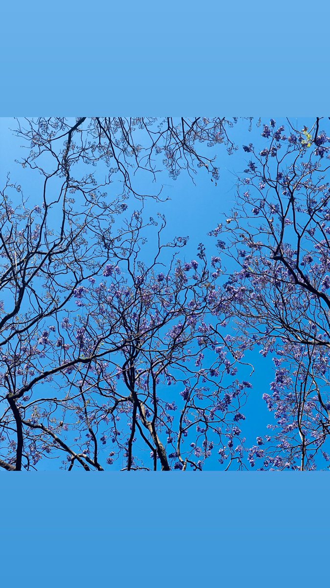 Blue Skies in #MexicoCity