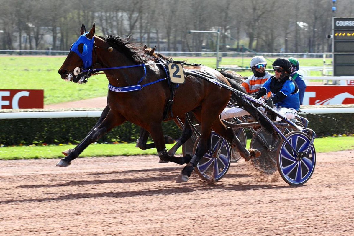 Etonnant is still unbeaten at Caen 👑

He’s won the Prix des Ducs de Normandie twice (2021 / 2022). 
Today he won the Prix de Cauvicourt after recovering from Lyme Disease.

2021: 1’10’4 over 2450m (racerecord) 
2022: 1’11’6 over 2450m
2023: 1’10’7 over 2200m