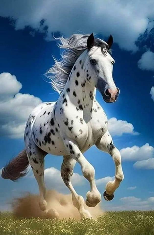 ❤Beautiful 🥰❤