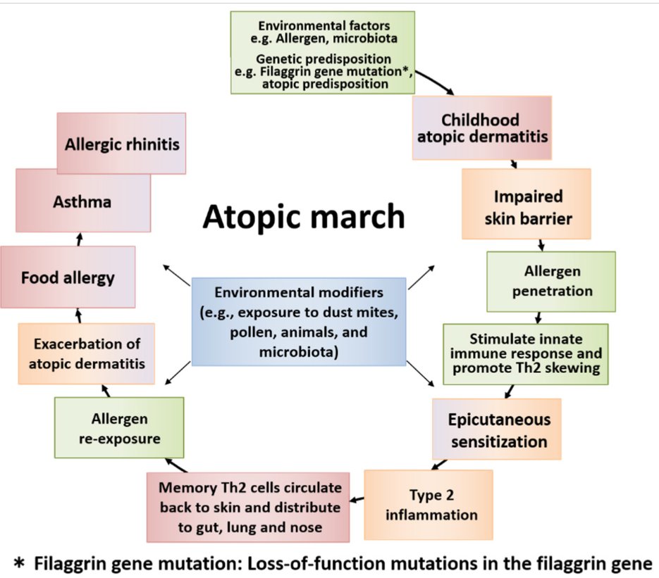 winder_gill's tweet photo. Here's a great article on the #atopicmarch and associated comorbidities, although there are many more to add to this list which aren't necessarily 'allergic' but are related ie #EoE #FPIES etc
https://t.co/hN5Z1qzUIa https://t.co/KPraUBxS1b