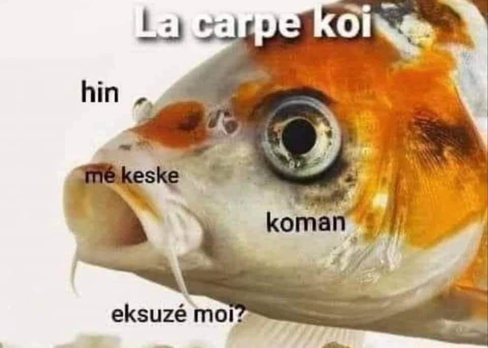 kontostelios's tweet photo. @Viviane_DPR https://t.co/AsYlXpqSZn