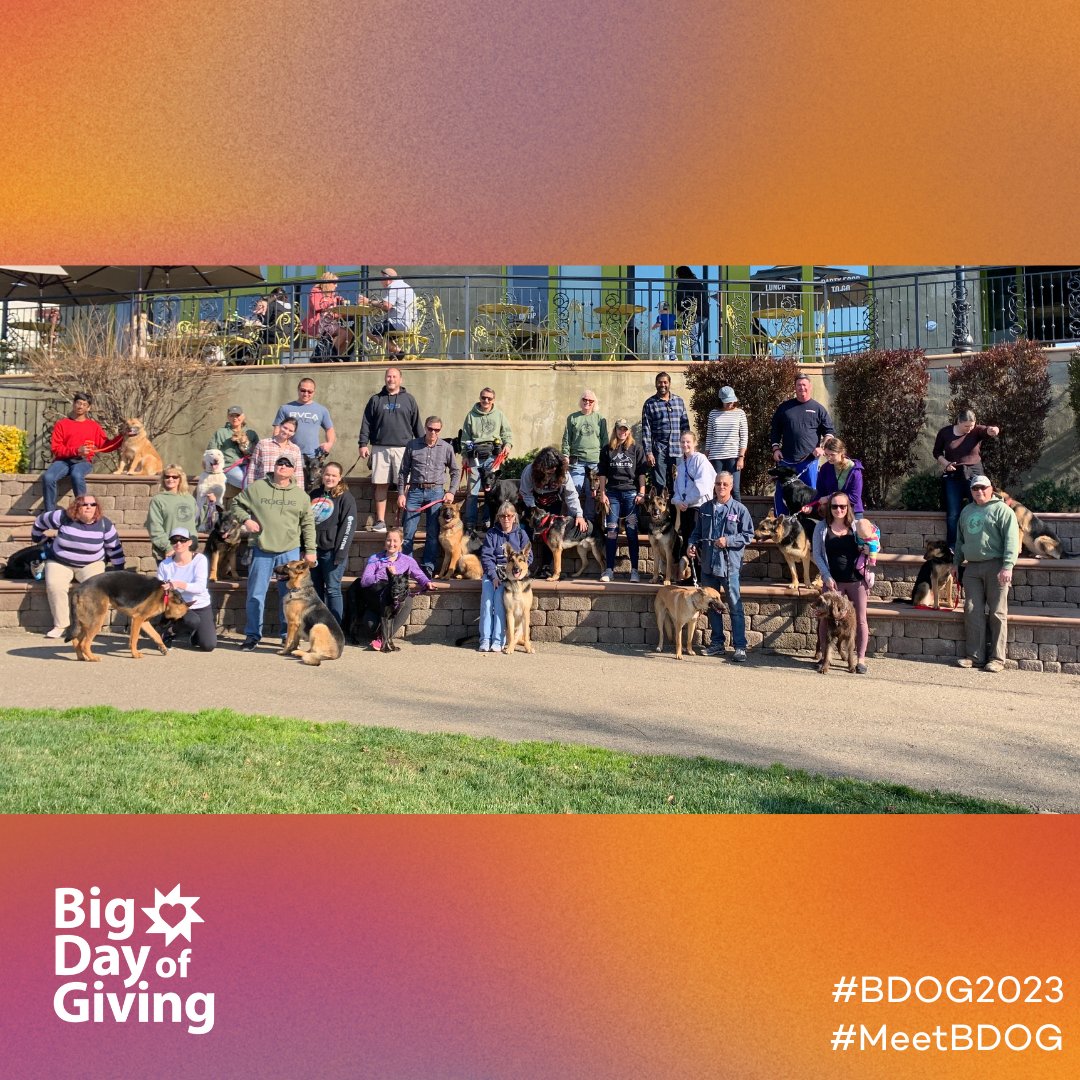 bigdayofgiving's tweet photo. #MeetBDOG   •   El Dorado County German Shepherd Rescue (EDCGSR) provides refuge and makes ready for adoption unwanted, abused, abandoned, or neglected German Shepherds and German Shepherd dog (GSD) mixes. https://t.co/yTBNYO5RFL