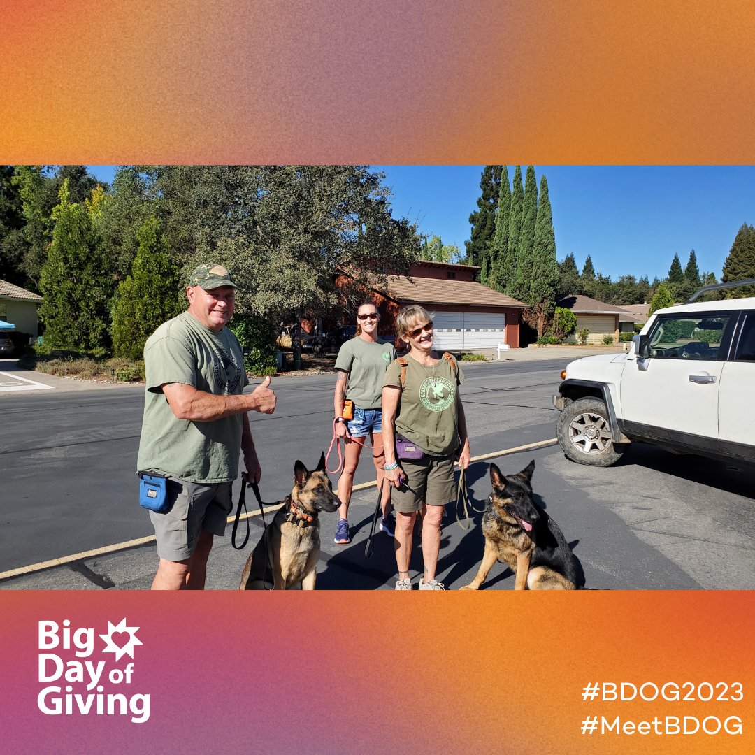 bigdayofgiving's tweet photo. #MeetBDOG   •   El Dorado County German Shepherd Rescue (EDCGSR) provides refuge and makes ready for adoption unwanted, abused, abandoned, or neglected German Shepherds and German Shepherd dog (GSD) mixes. https://t.co/yTBNYO5RFL