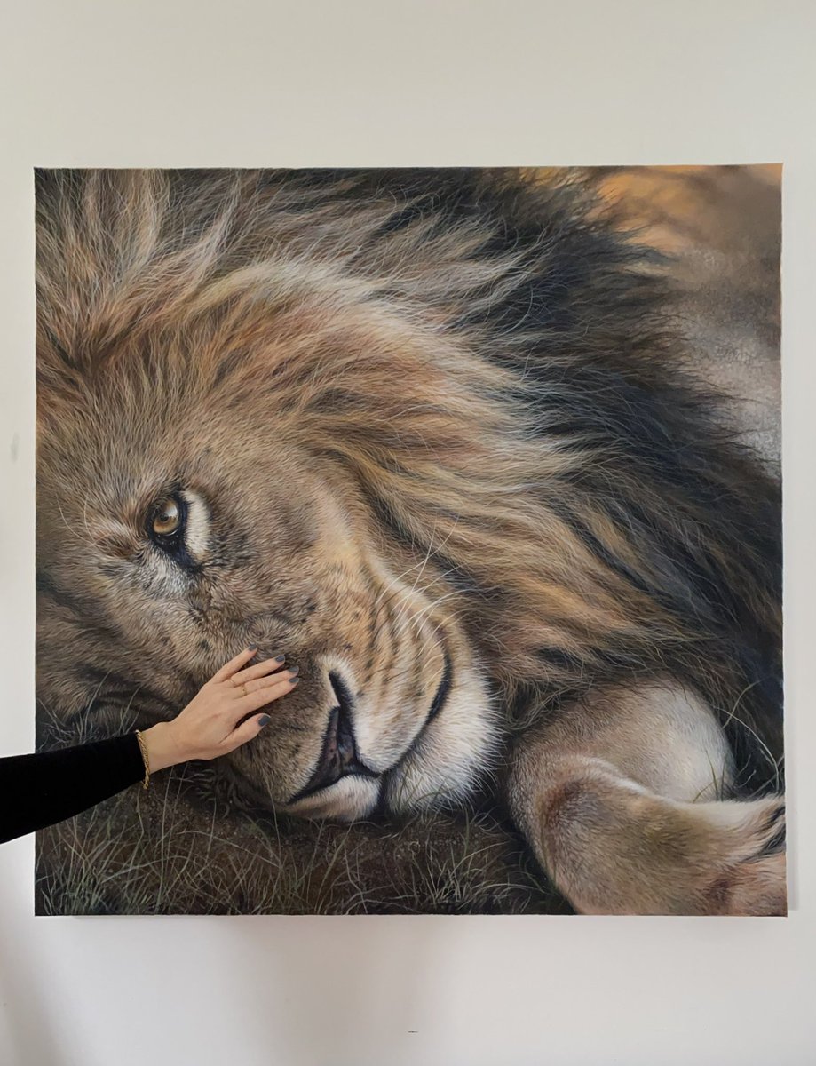 ‘Sun Down’ one of my favourite paintings from earlier in the year. I loved working on this piece. It was a bit sad to say goodbye to him (more big lions coming soon!) 

julierhodes.com

#biglion #acrylicpainter #acryliconcanvas #finishedart #artcollection #realism #lions